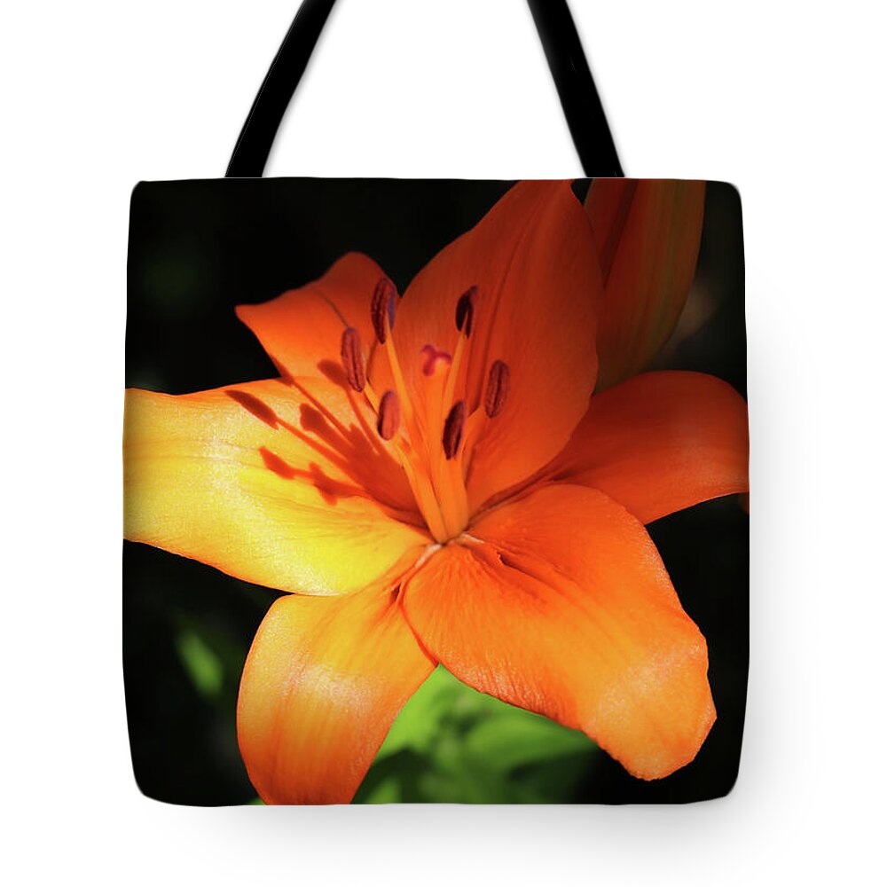Lily Tote Bag featuring the photograph Orange Evening Lily by Johanna Hurmerinta