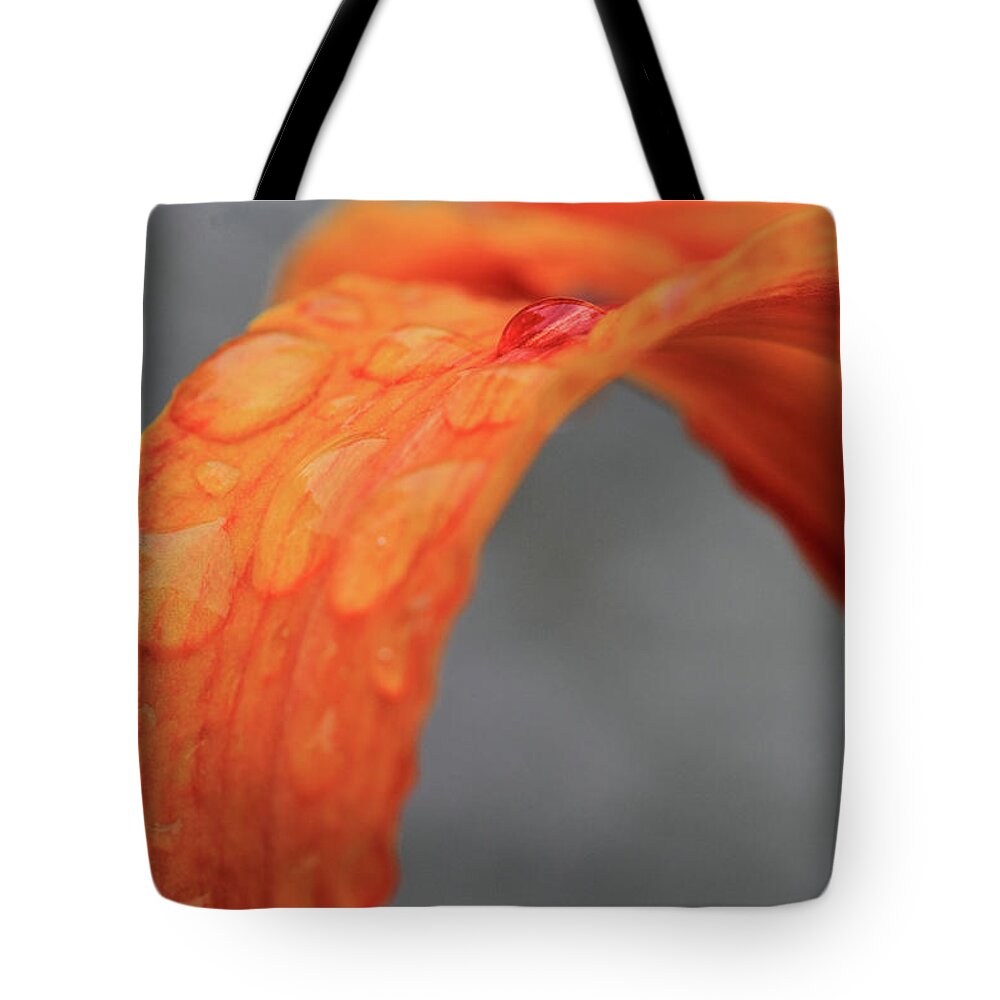 Orange Flower Tote Bag featuring the photograph Orange Flower after the Rain by Angela Murdock