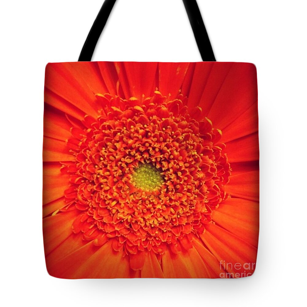Flower Tote Bag featuring the photograph Orange for Andy by Denise Railey