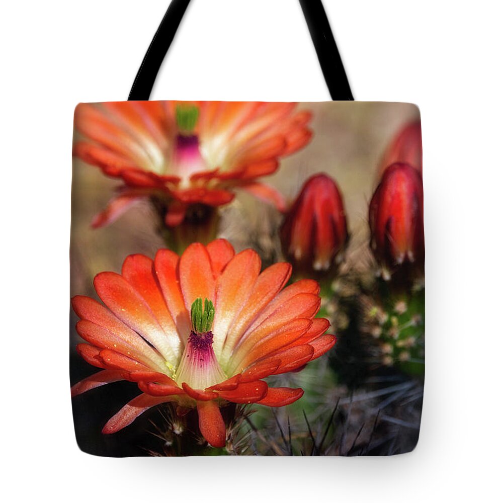 Hedgehog Cactus Flowers Tote Bag featuring the photograph Orange Hedgehog Flowers by Saija Lehtonen