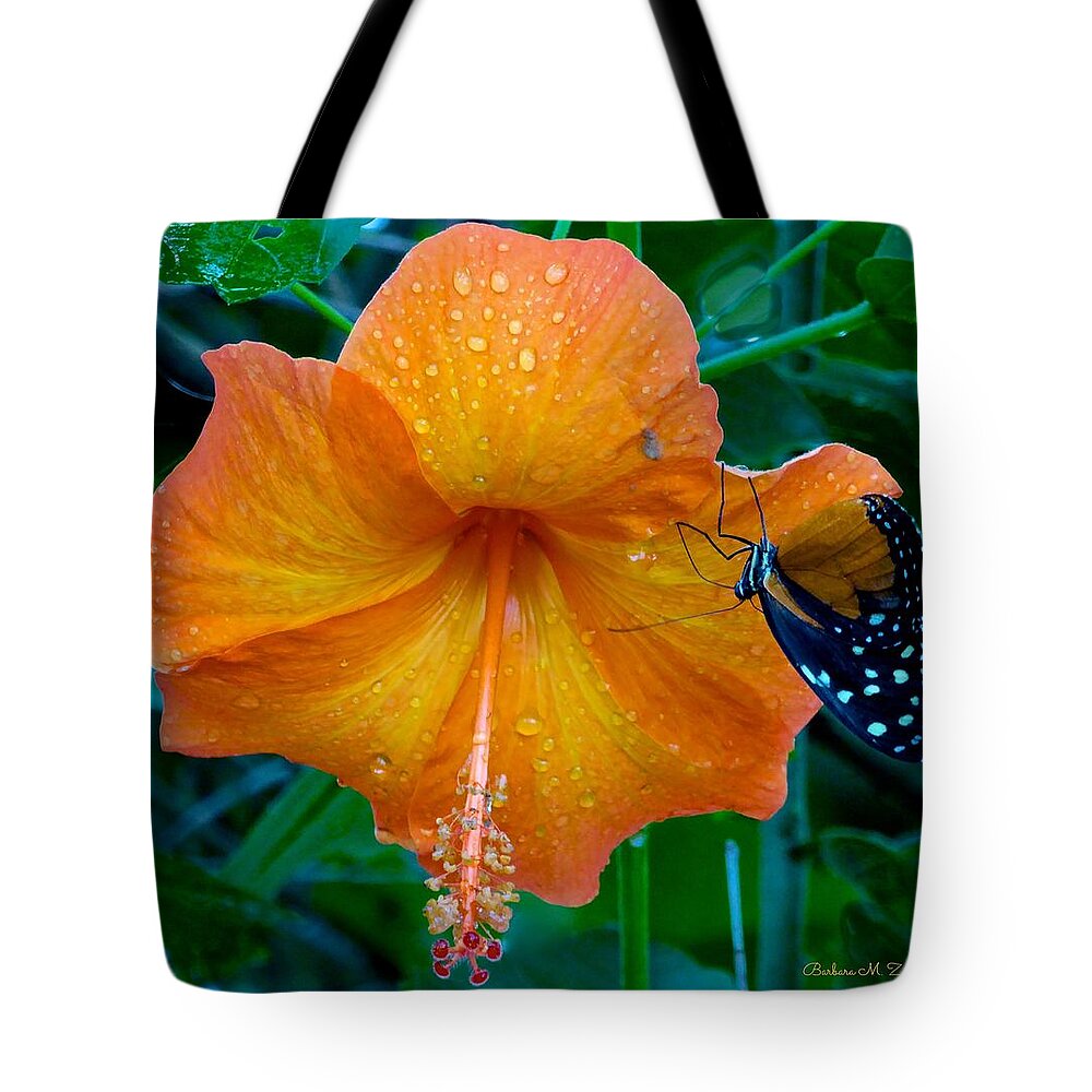 Hibiscus Tote Bag featuring the photograph Orange Hibiscus by Barbara Zahno