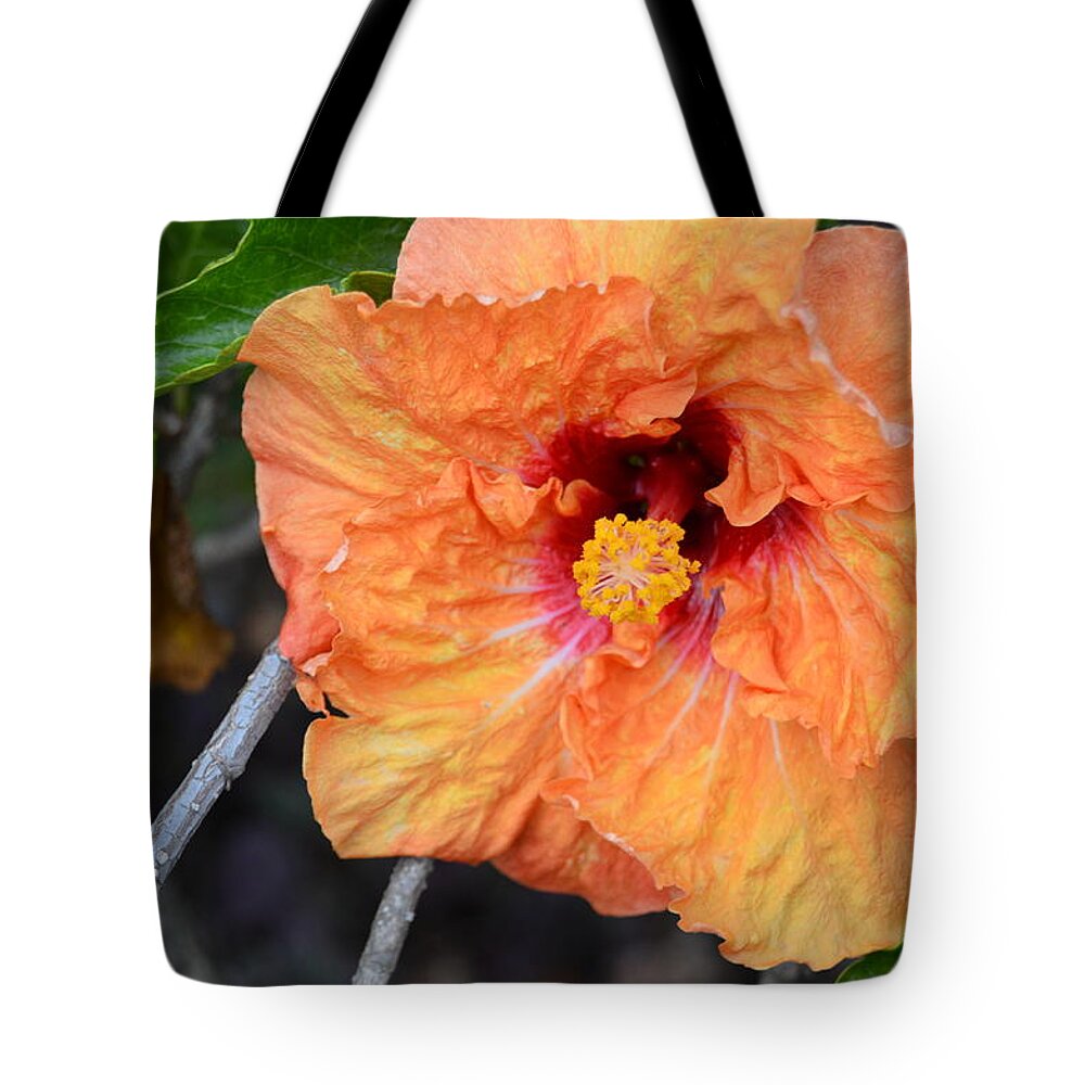 Flower Tote Bag featuring the photograph Orange Hibiscus with Ruffled Petals by Amy Fose