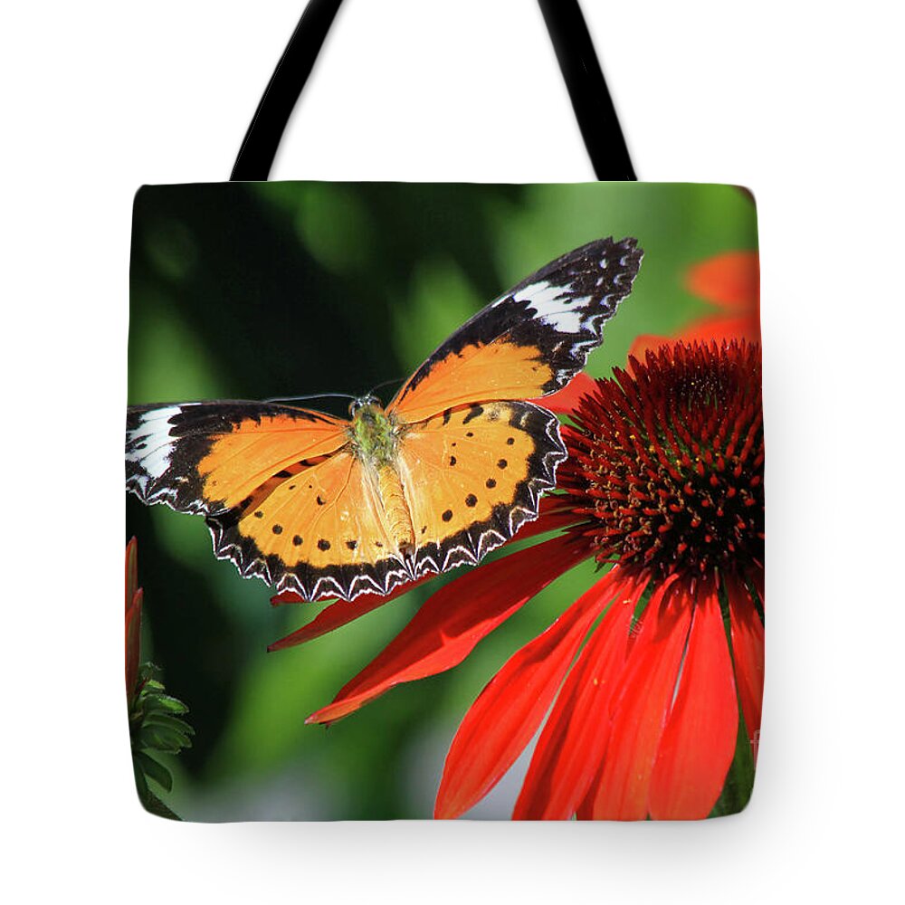 Butterfly Tote Bag featuring the photograph Orange Lacewing by Paula Guttilla