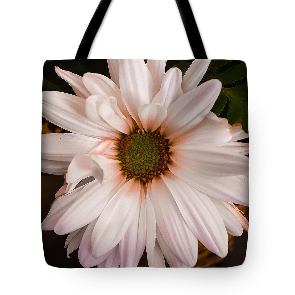 Orange Tote Bag featuring the photograph Orange Pastel Daisy by Marian Lonzetta