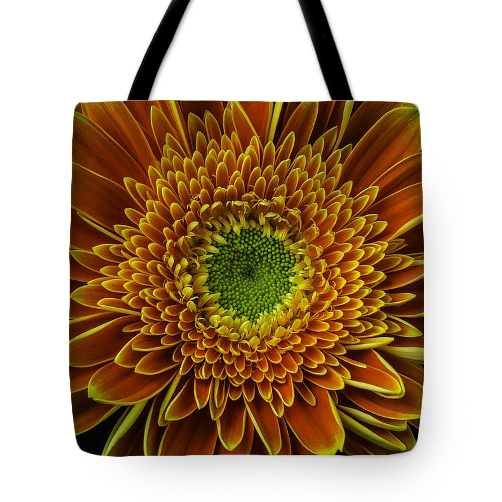 Gerbera Tote Bag featuring the photograph Orange Petals by Garry Gay