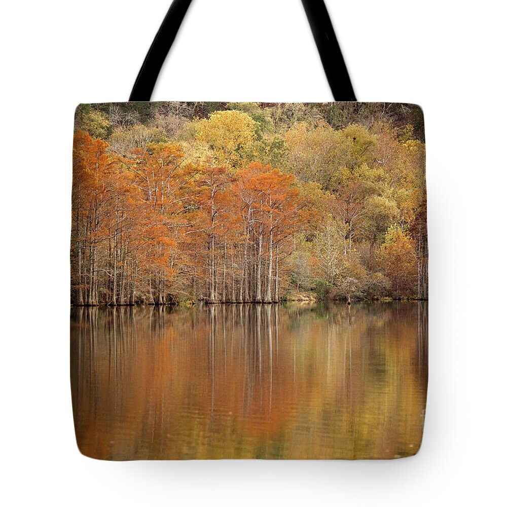 Cypress Trees Tote Bag featuring the photograph Orange Pool by Iris Greenwell