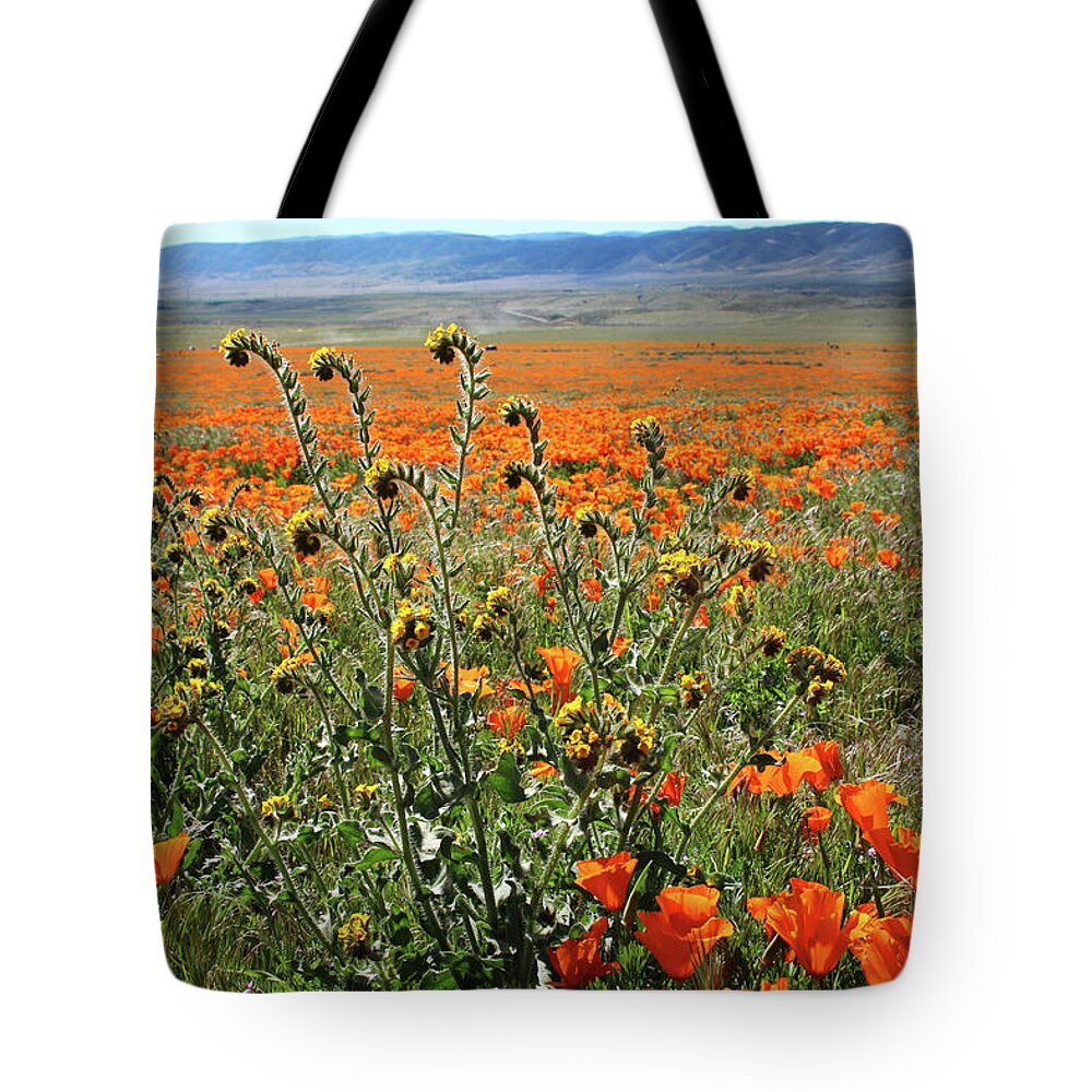 Poppies Tote Bag featuring the mixed media Orange Poppies and Fiddleneck- Art by Linda Woods by Linda Woods
