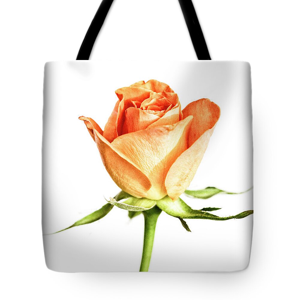 Rose Tote Bag featuring the photograph Orange Rosy by Tanya C Smith