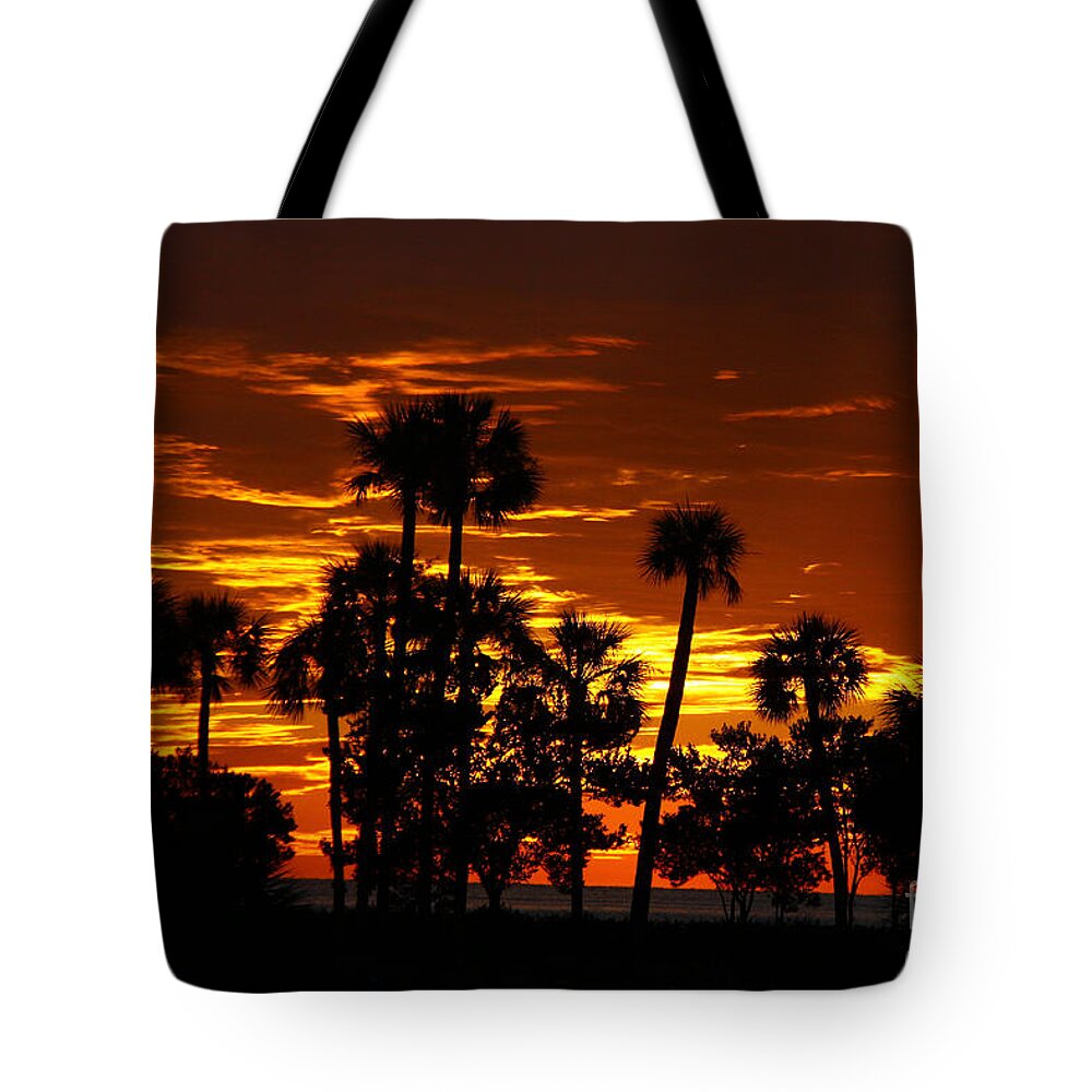 Sunset Tote Bag featuring the photograph Orange Skies by Barbara Bowen