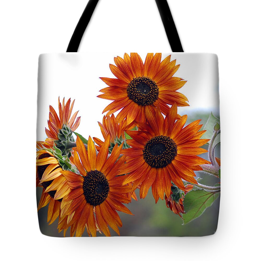 Sunflower Tote Bag featuring the photograph Orange Sunflower 1 by Amy Fose