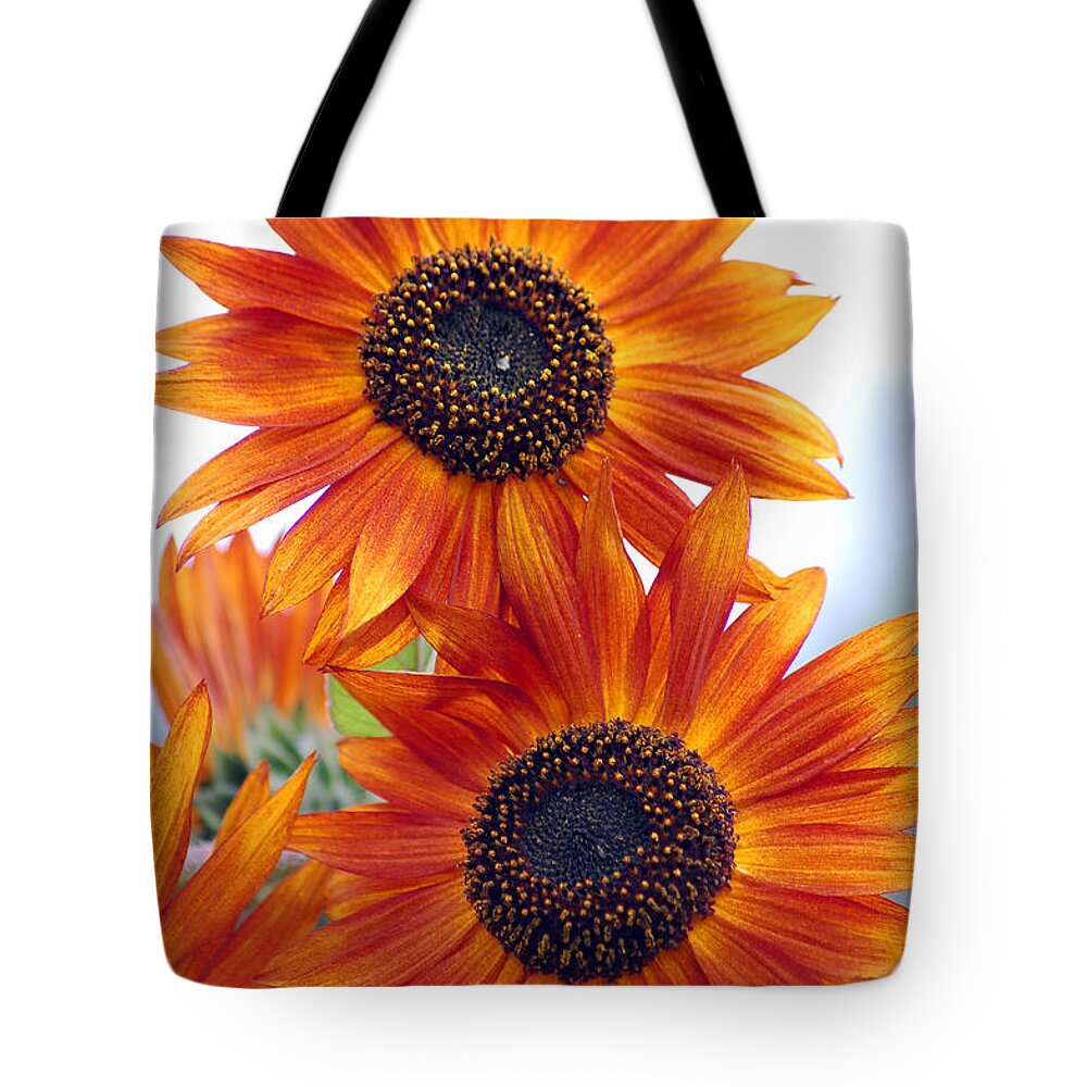 Sunflower Tote Bag featuring the photograph Orange Sunflower 2 by Amy Fose