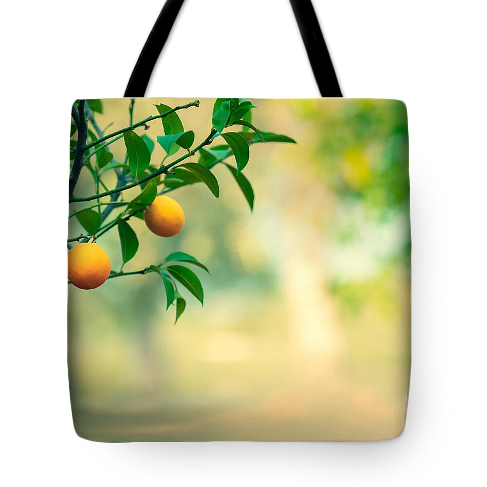 Agriculture Tote Bag featuring the photograph Orange tree garden by Anna Om