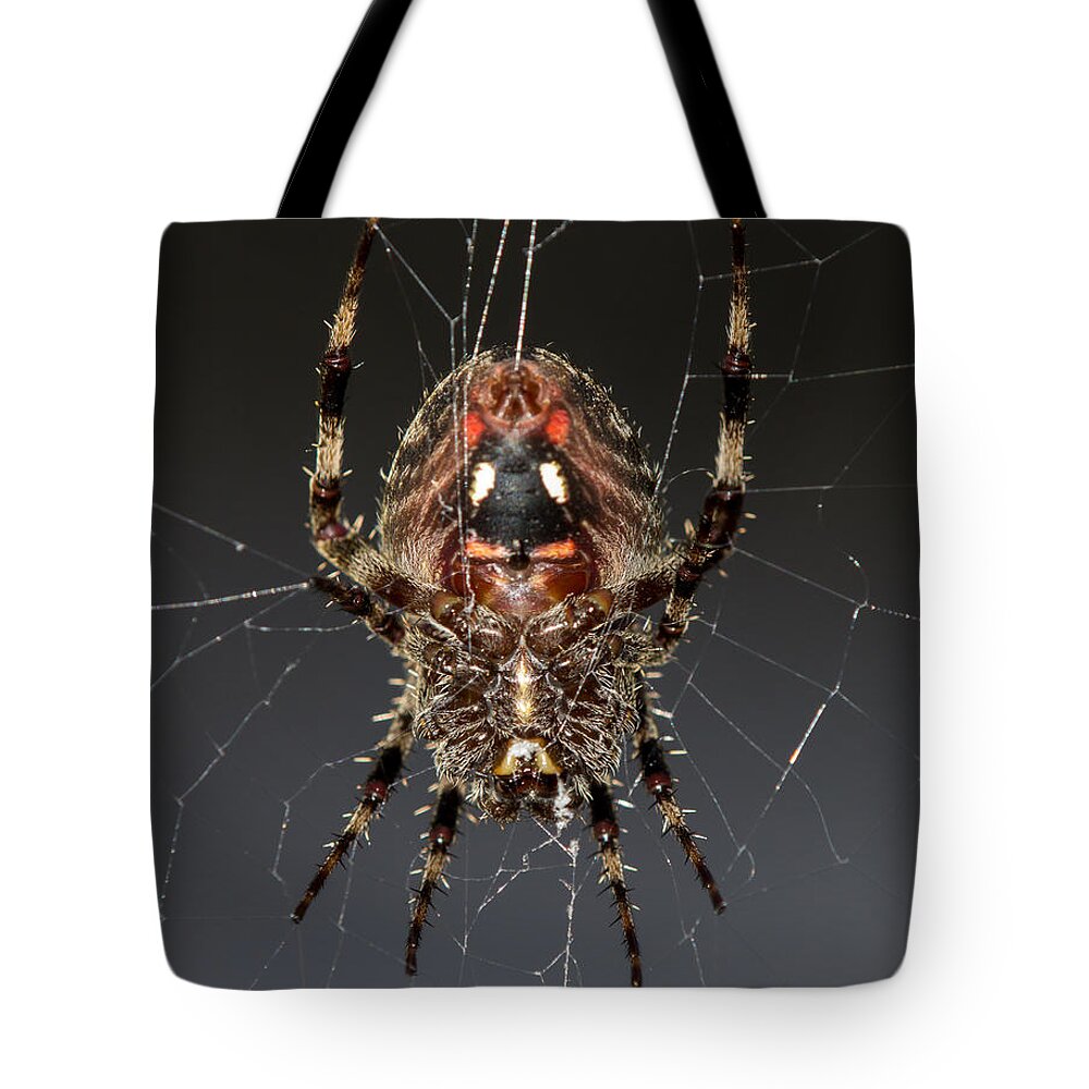 Orb Tote Bag featuring the photograph Orb weaver belly by Shawn Jeffries