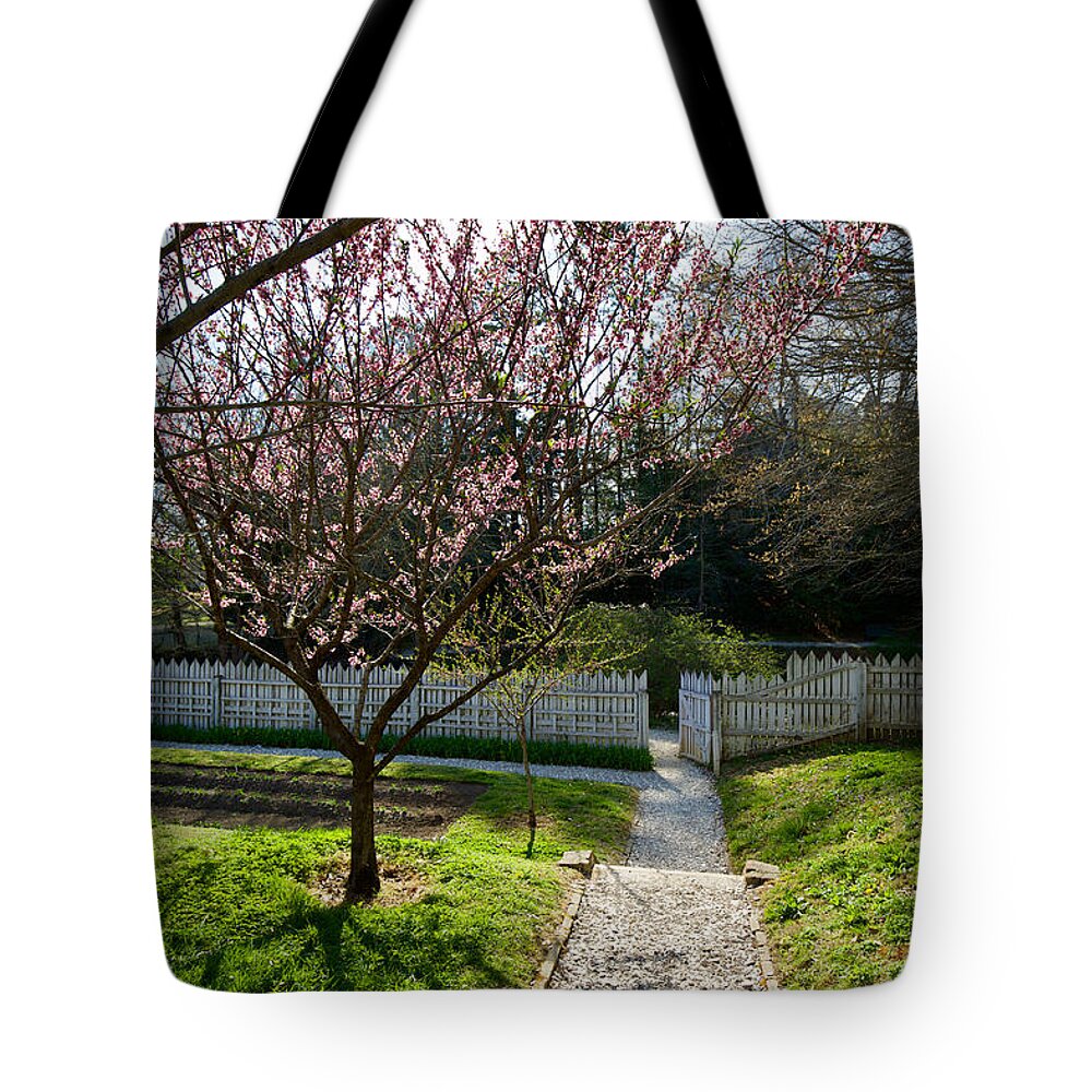 Colonial Williamsburg Tote Bag featuring the photograph Orchard in the Springtime by Rachel Morrison