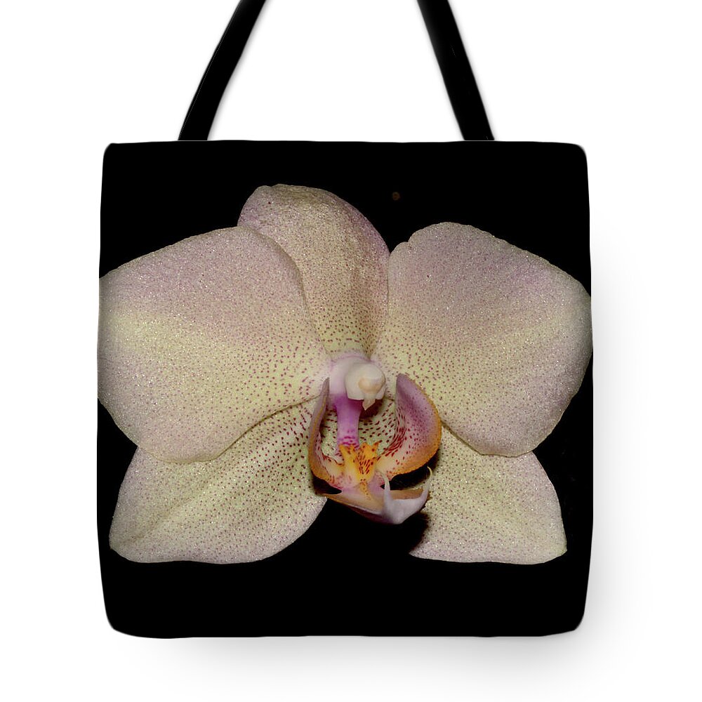 Nature Tote Bag featuring the photograph Orchid 2016 2 by Robert Morin