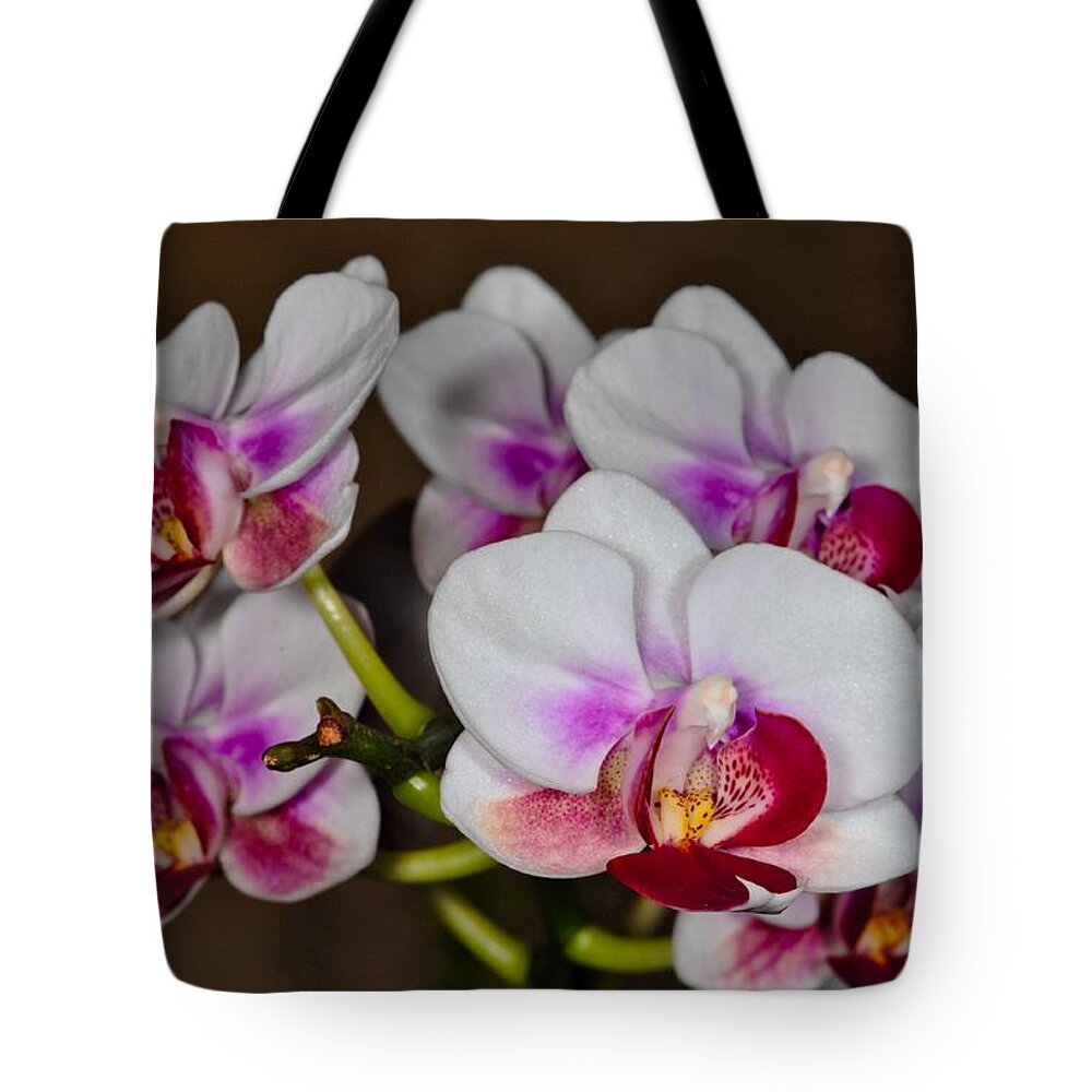 Orchid Tote Bag featuring the photograph Orchid 306 by Wesley Elsberry