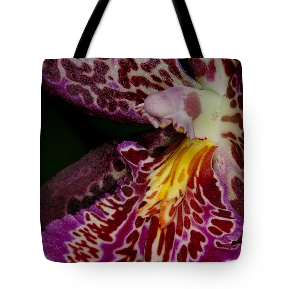 Orchid Tote Bag featuring the photograph Orchid 459 by Wesley Elsberry