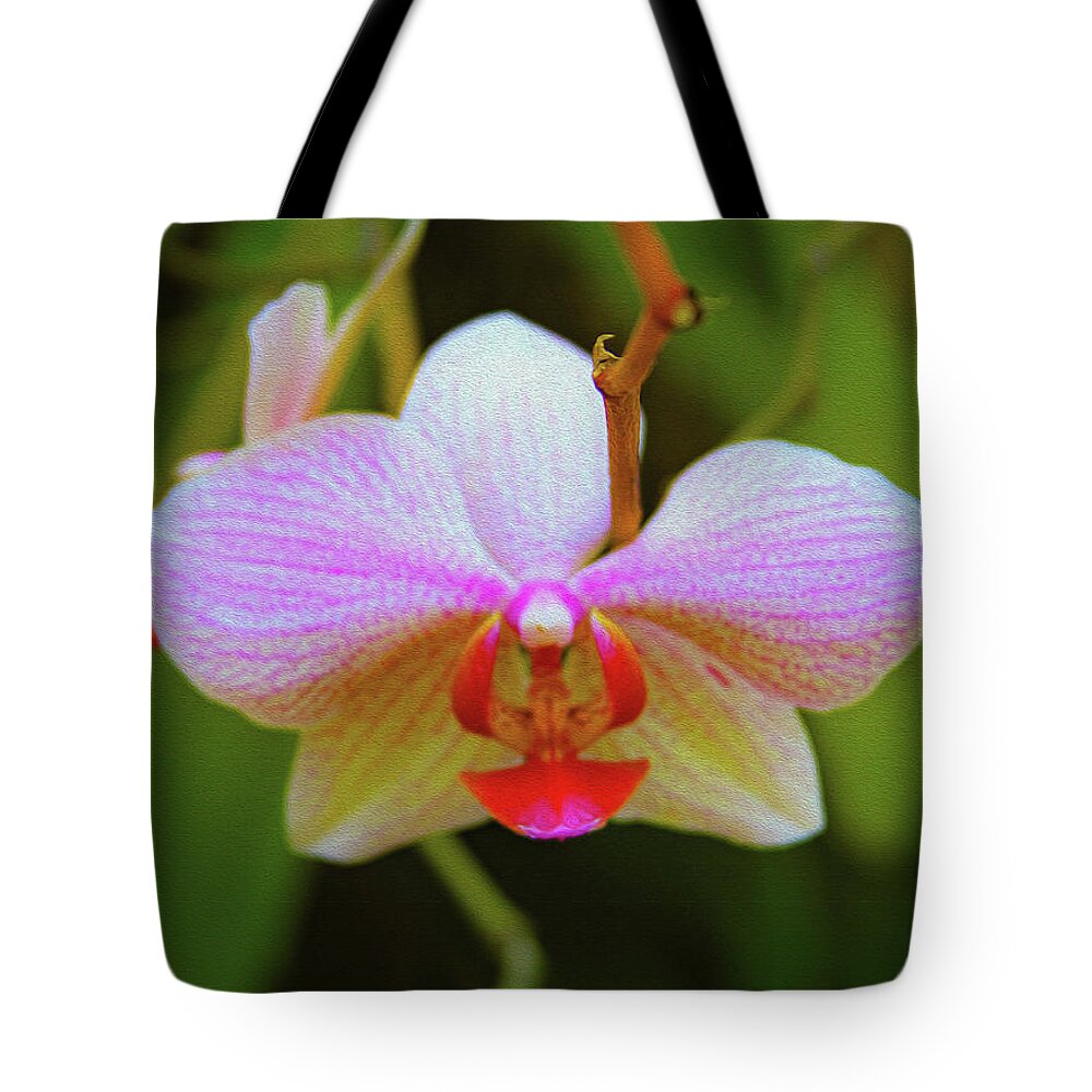 Bonnie Follett Tote Bag featuring the photograph Orchid Blush by Bonnie Follett