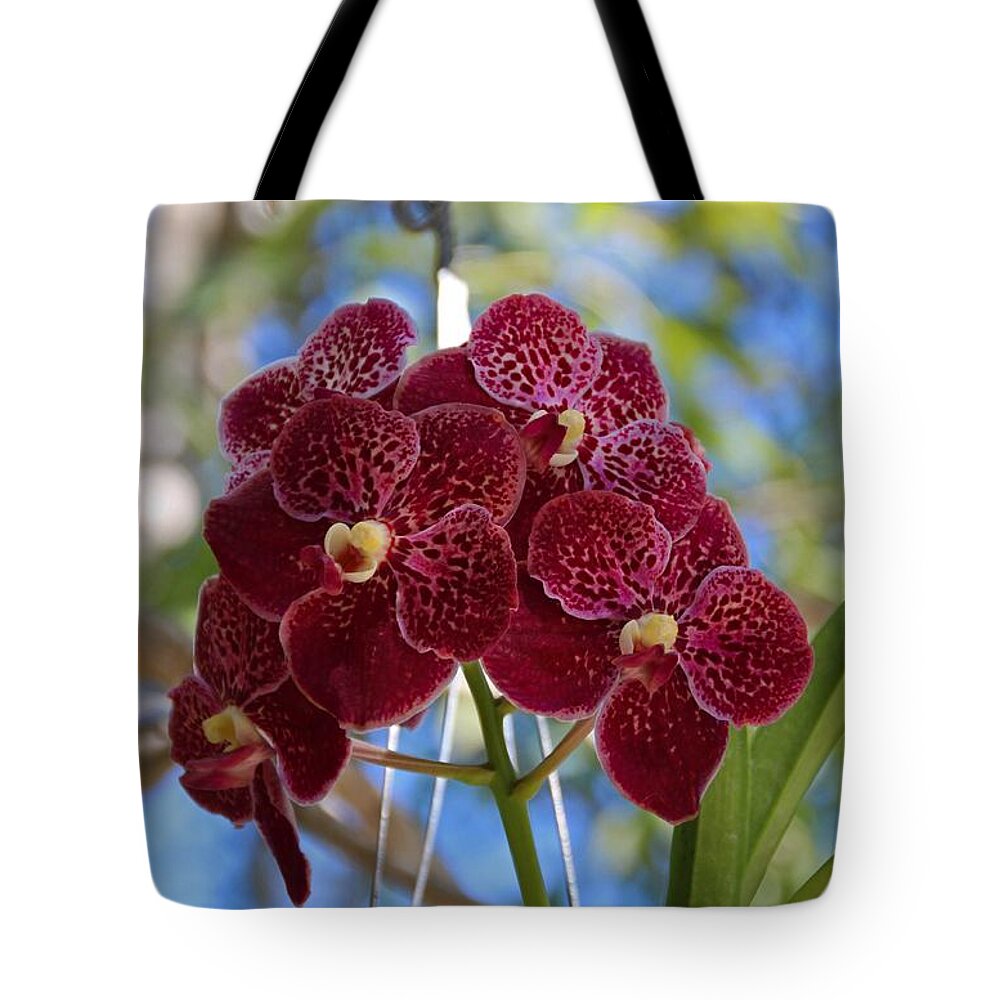 Red Tote Bag featuring the photograph Orchid Bouquet by Michiale Schneider