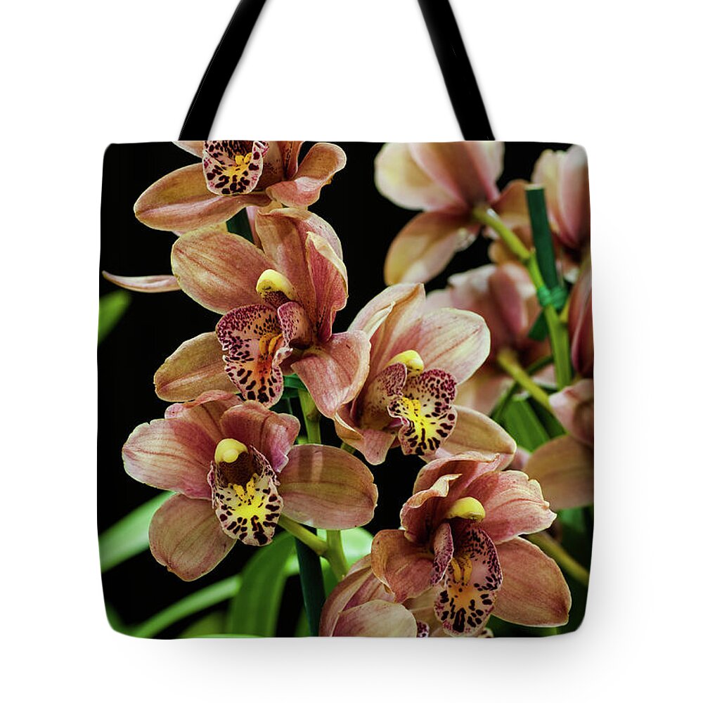 Flowers Tote Bag featuring the photograph Orchid Flowers by Catherine Lau