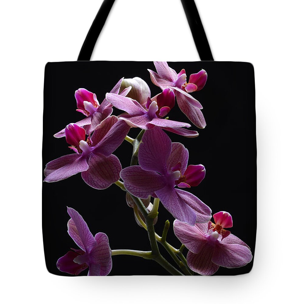 Orchid Tote Bag featuring the photograph Orchid in flight by Robert WK Clark