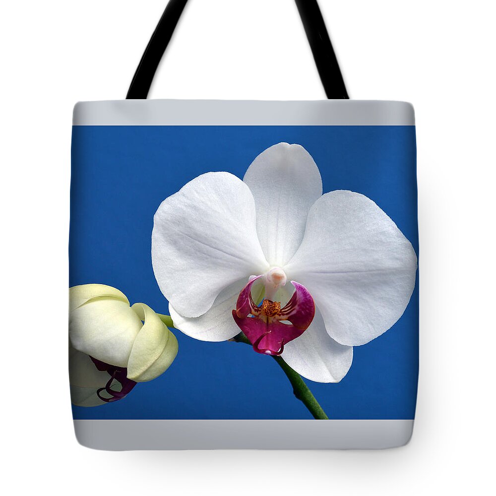 Orchid Tote Bag featuring the photograph Orchid Out Of The Blue. by Terence Davis