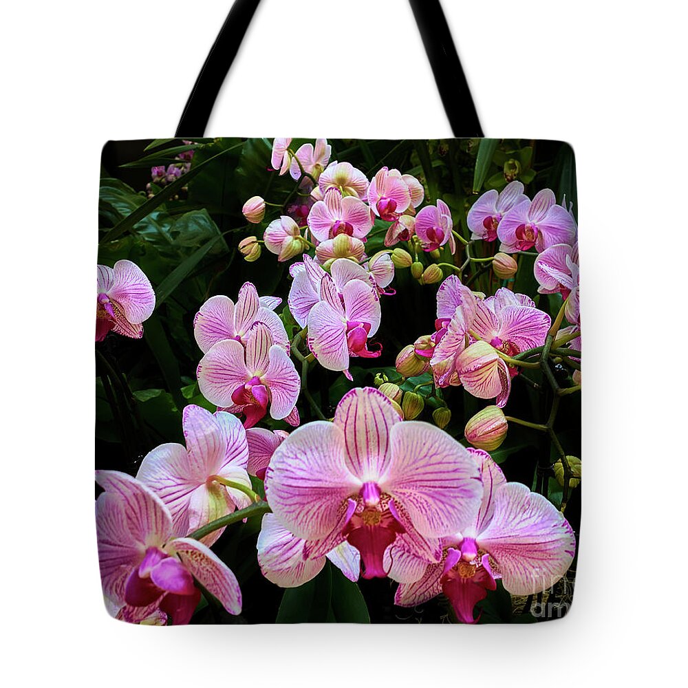Orchid Tote Bag featuring the photograph Orchid Parade by Steve Ondrus