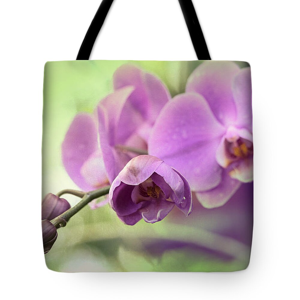 Orchids Tote Bag featuring the photograph Orchids by Cathy Donohoue