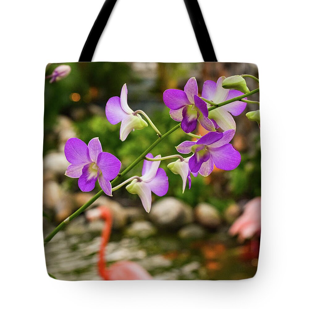 Orchid Tote Bag featuring the photograph Orchids in Paradise by Nicole Lloyd