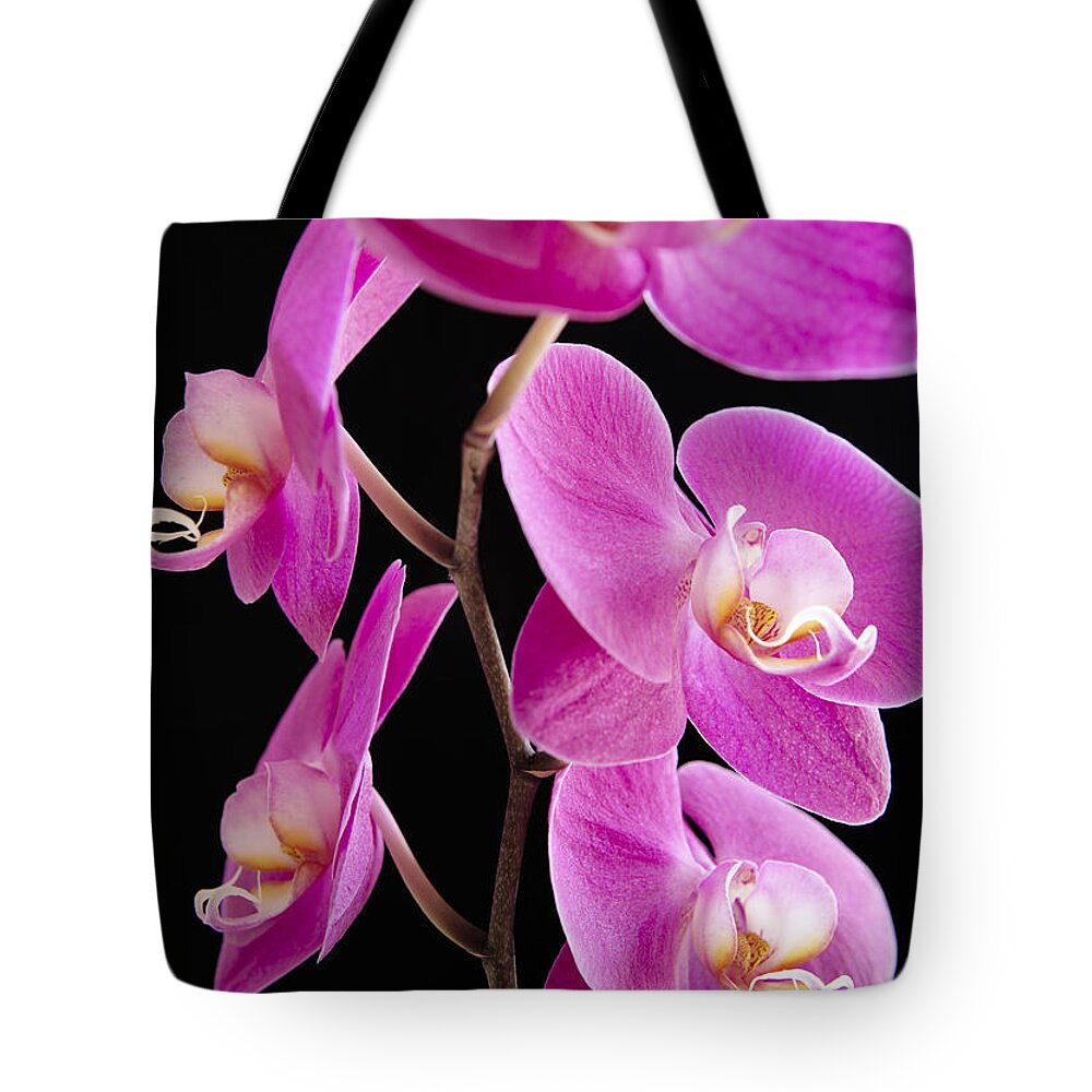 Backdrop Tote Bag featuring the photograph Orchids on Black III by Kyle Rothenborg - Printscapes