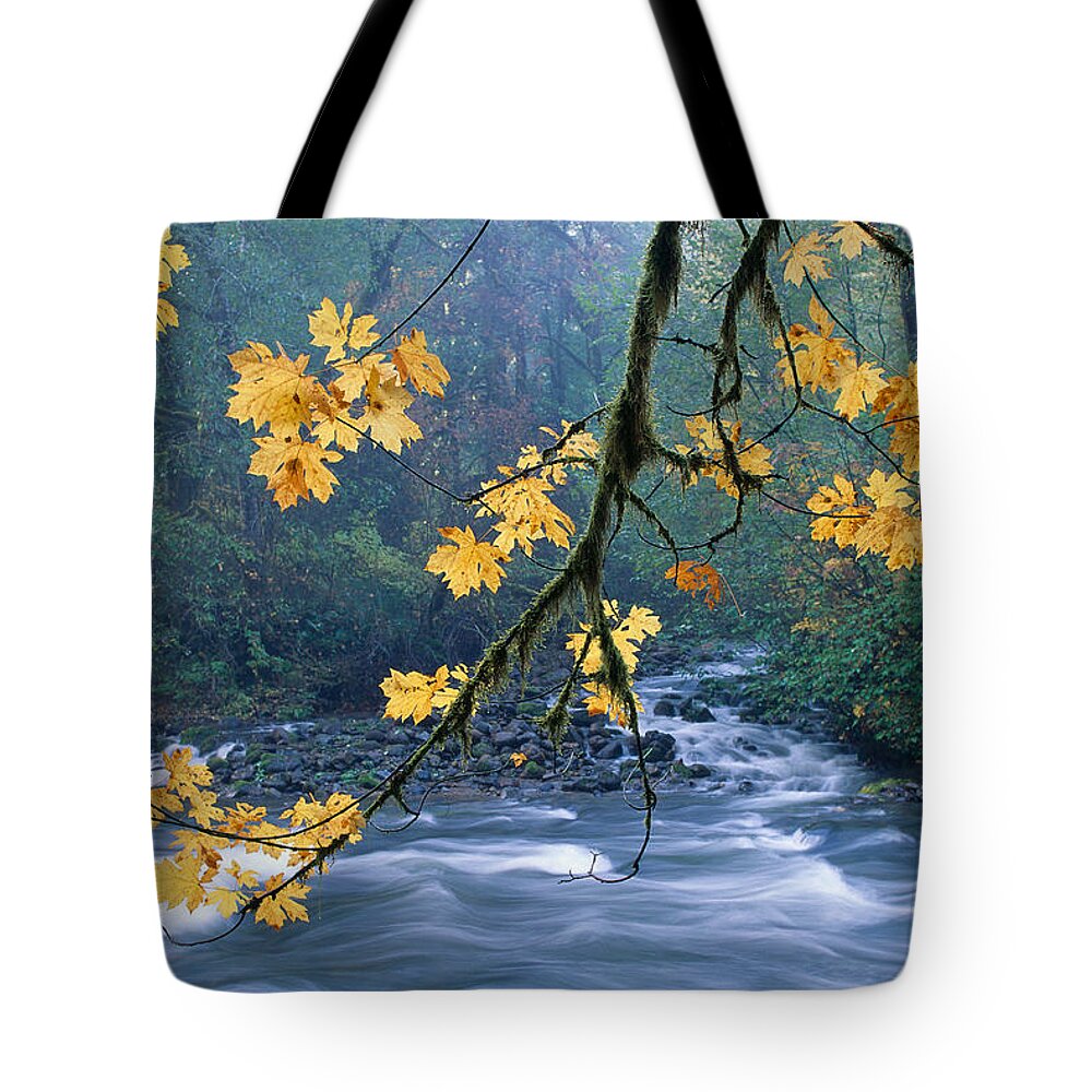 A51g Tote Bag featuring the photograph Oregon, Cascade Mountain by Carl Shaneff - Printscapes