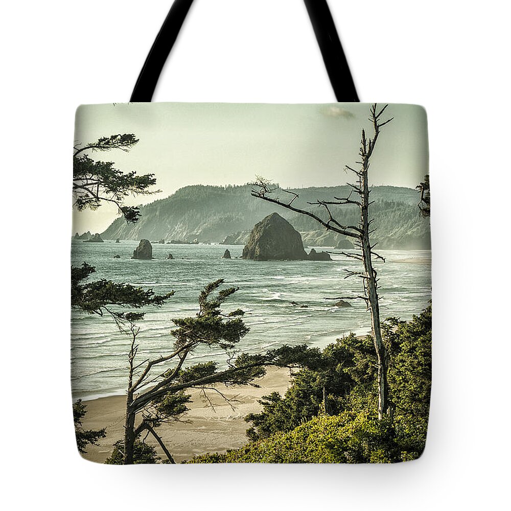 Oregan Coast Tote Bag featuring the photograph Oregon Coast at Sunset by Mark Peavy