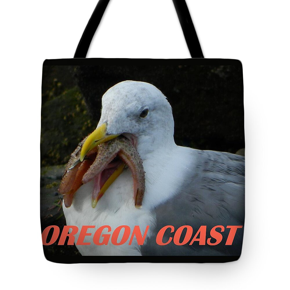 Seagull Tote Bag featuring the photograph Oregon Coast Seagull Eating Starfish by Gallery Of Hope 