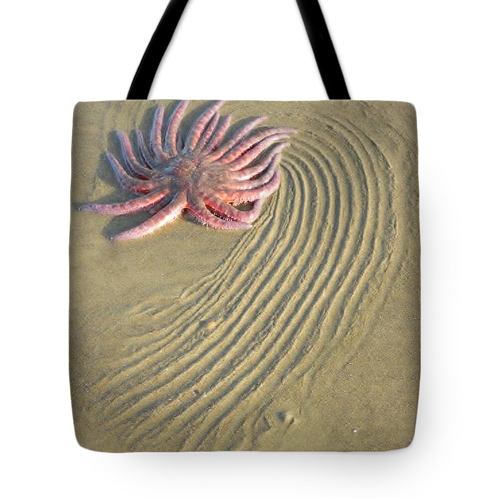 Sunflower Starfish Tote Bag featuring the photograph Oregon Coast Sunflower by Gallery Of Hope 