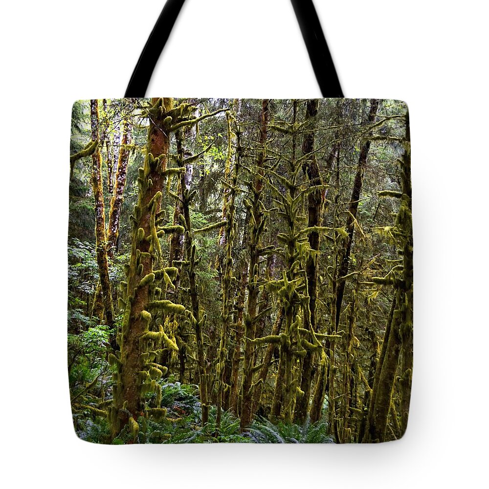 Temperate-rain Forest-lush-mossy-green-moss-trees Tote Bag featuring the photograph Oregon Coastal Rainforest by Scott Cameron