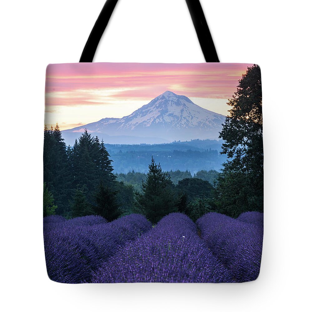 Plant;lavender;farm;mt Hood;oregon Lavender Farm Tote Bag featuring the digital art Oregon Lavender Farm by Michael Lee