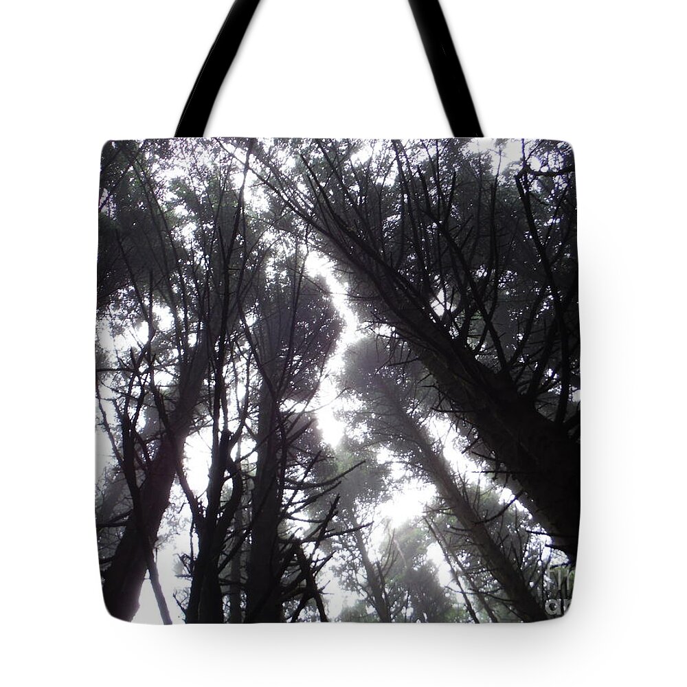 Oregon Pine Tops 1 Tote Bag featuring the photograph Oregon Pine Tops 1 by Paddy Shaffer