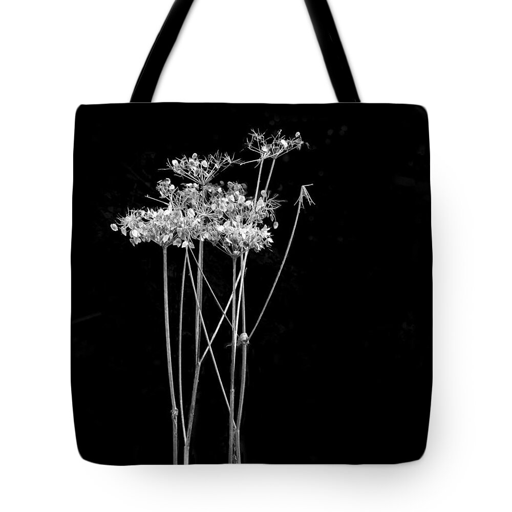 Photography By Paul Davenport Tote Bag featuring the photograph Organic Enhancements 7 by Paul Davenport