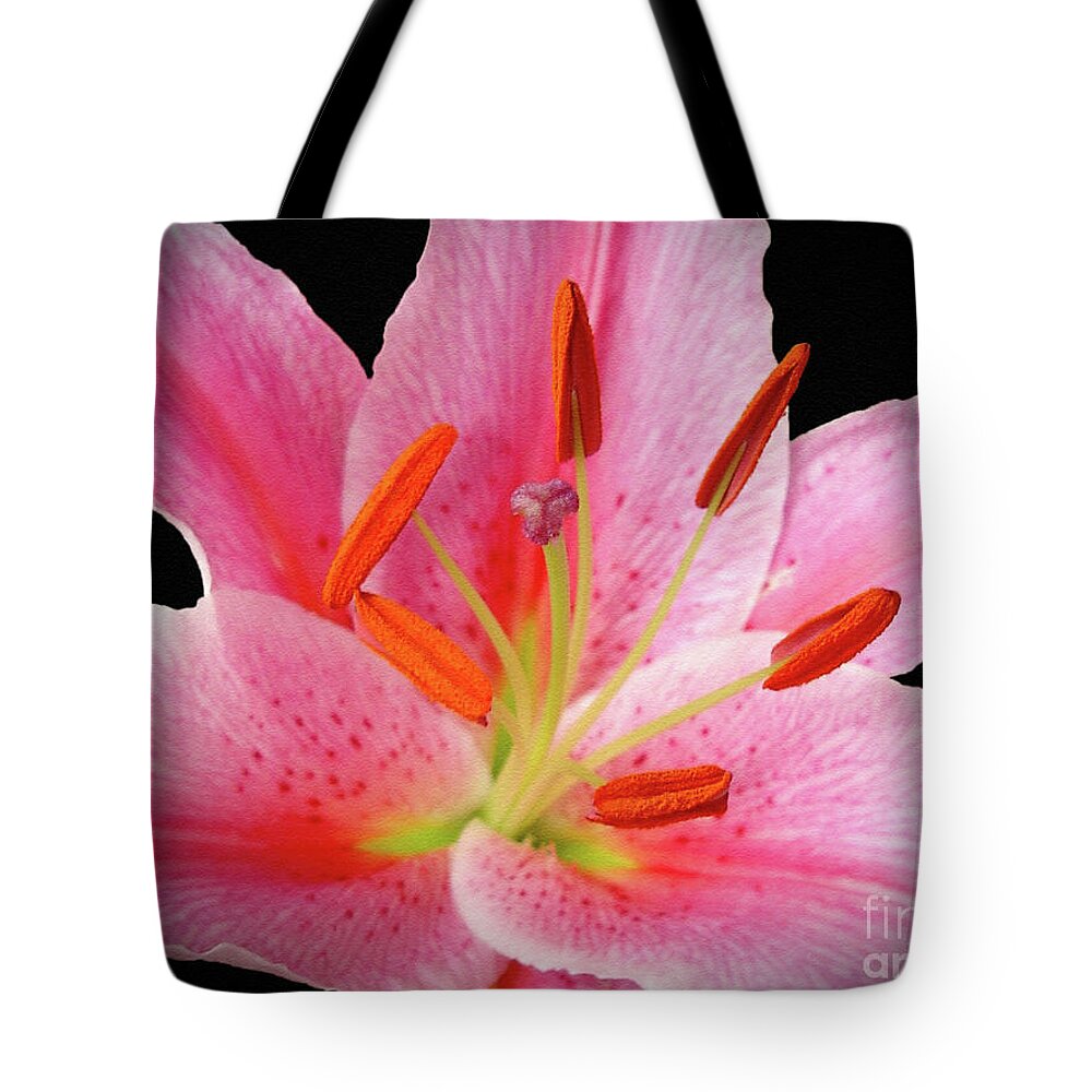Lily Tote Bag featuring the photograph Oriental Beauty by Sue Melvin