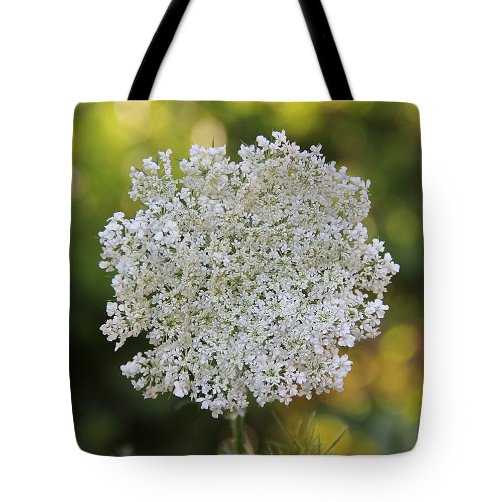 Flower Tote Bag featuring the photograph Queen Anne's Lace by Allen Nice-Webb