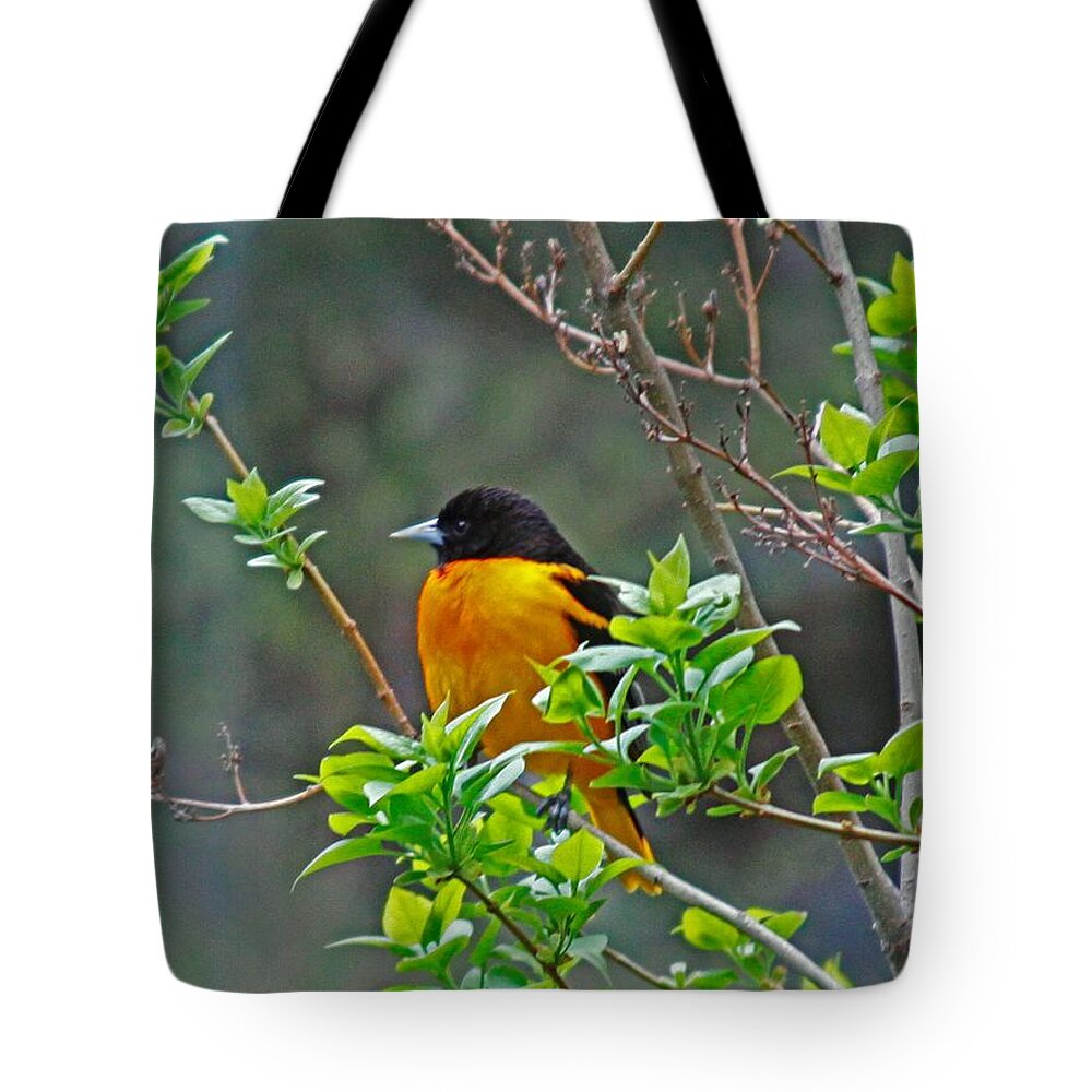 Oriole Tote Bag featuring the photograph Oriole on the Lilac by Larry Capra