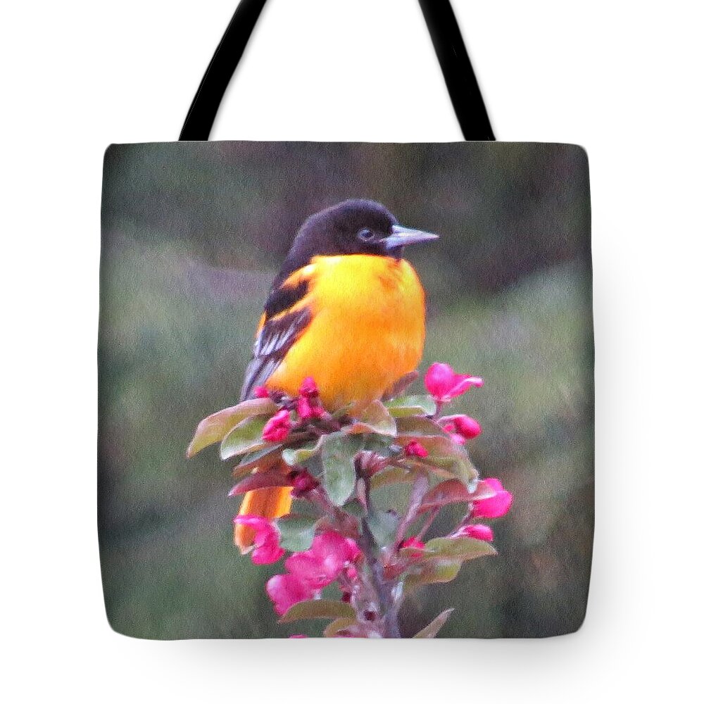 Oriole Tote Bag featuring the photograph Oriole Orange by MTBobbins Photography
