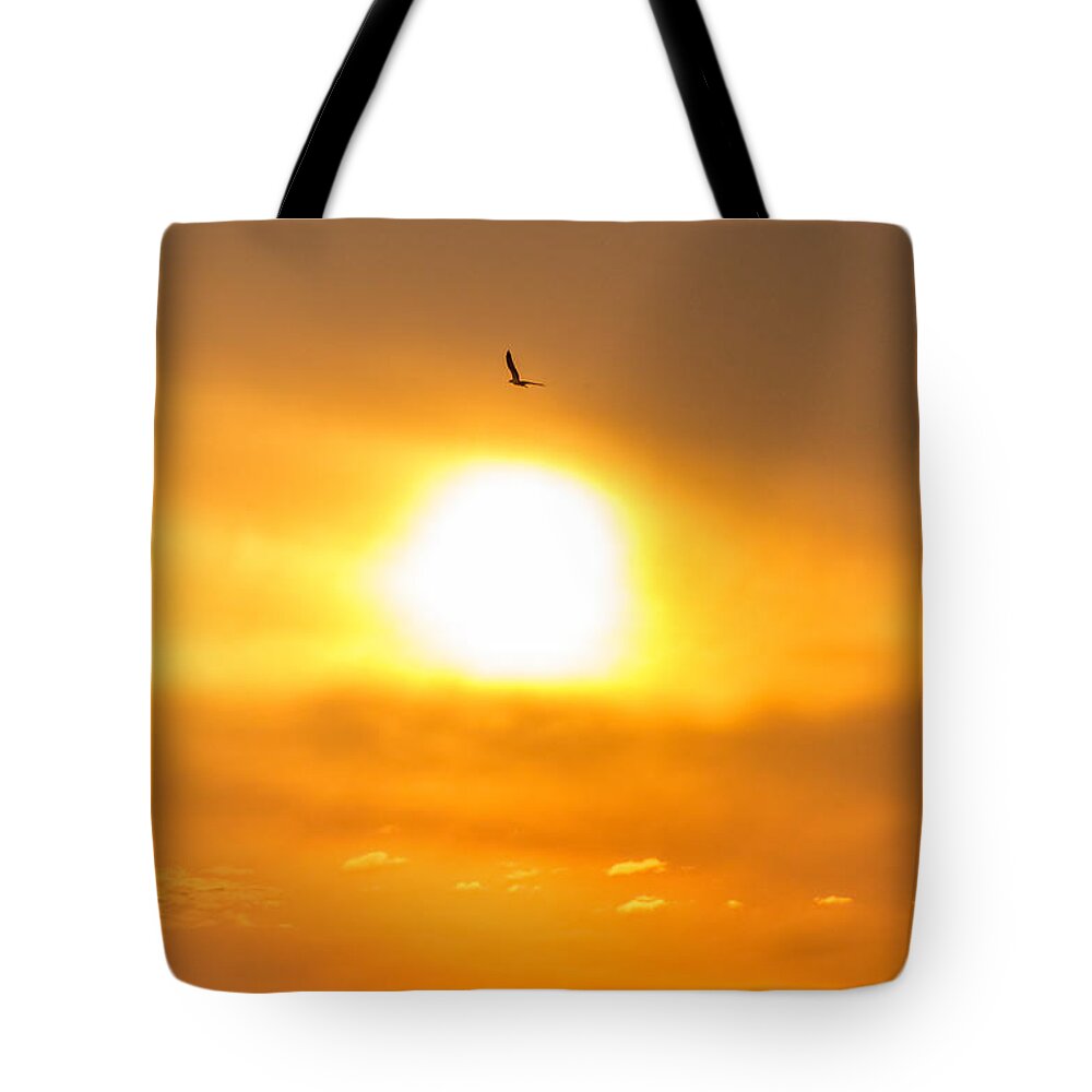 New Jersey Tote Bag featuring the photograph Osprey at sunset by SAURAVphoto Online Store