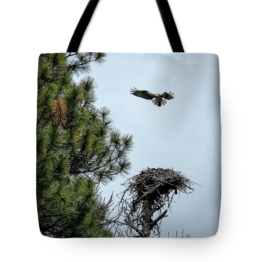 Animals Tote Bag featuring the photograph Osprey Landing on Nest by Mary Lee Dereske
