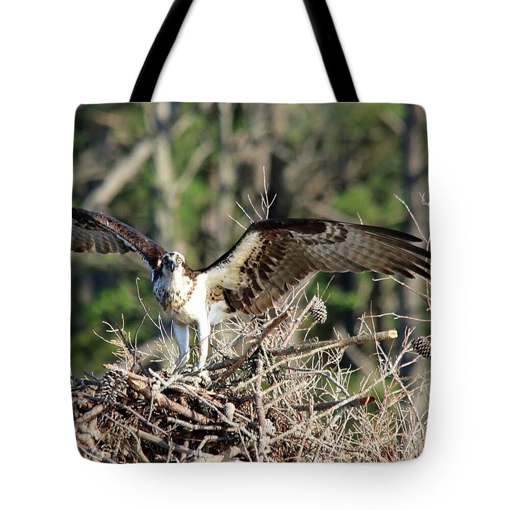 Osprey Tote Bag featuring the photograph Osprey Nest Against Loblolly by Captain Debbie Ritter