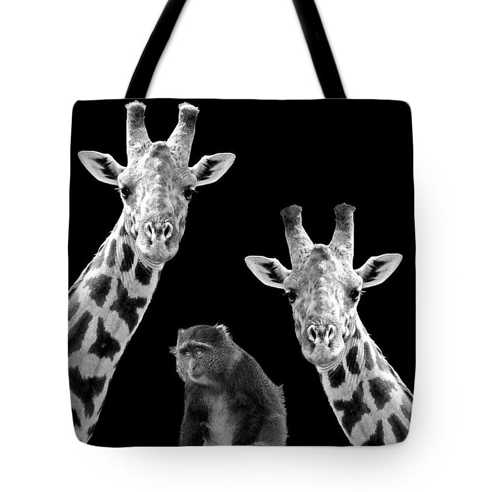 Giraffe Tote Bag featuring the photograph Our Wise Little Friend - Monkey and Giraffes in Black and White by Gill Billington