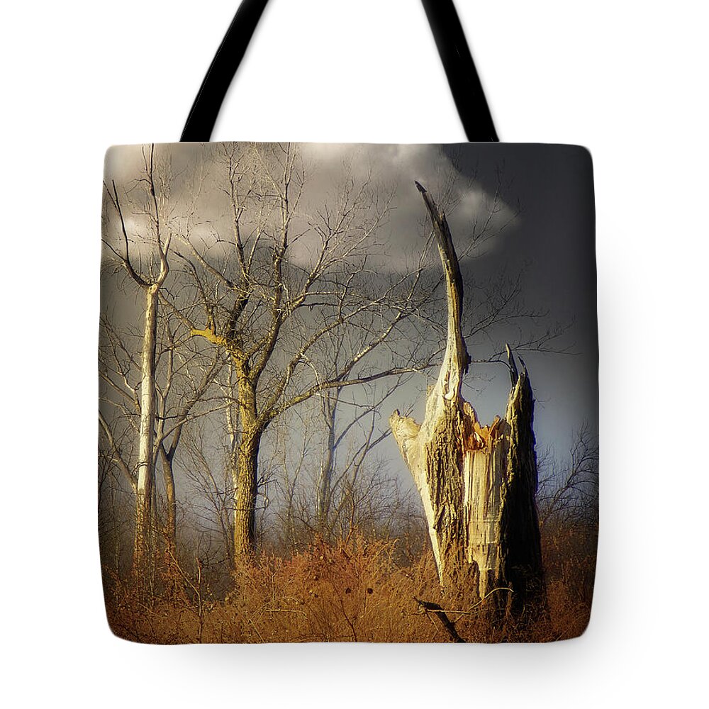 Trees Tote Bag featuring the photograph Out Of The Blue by John Anderson