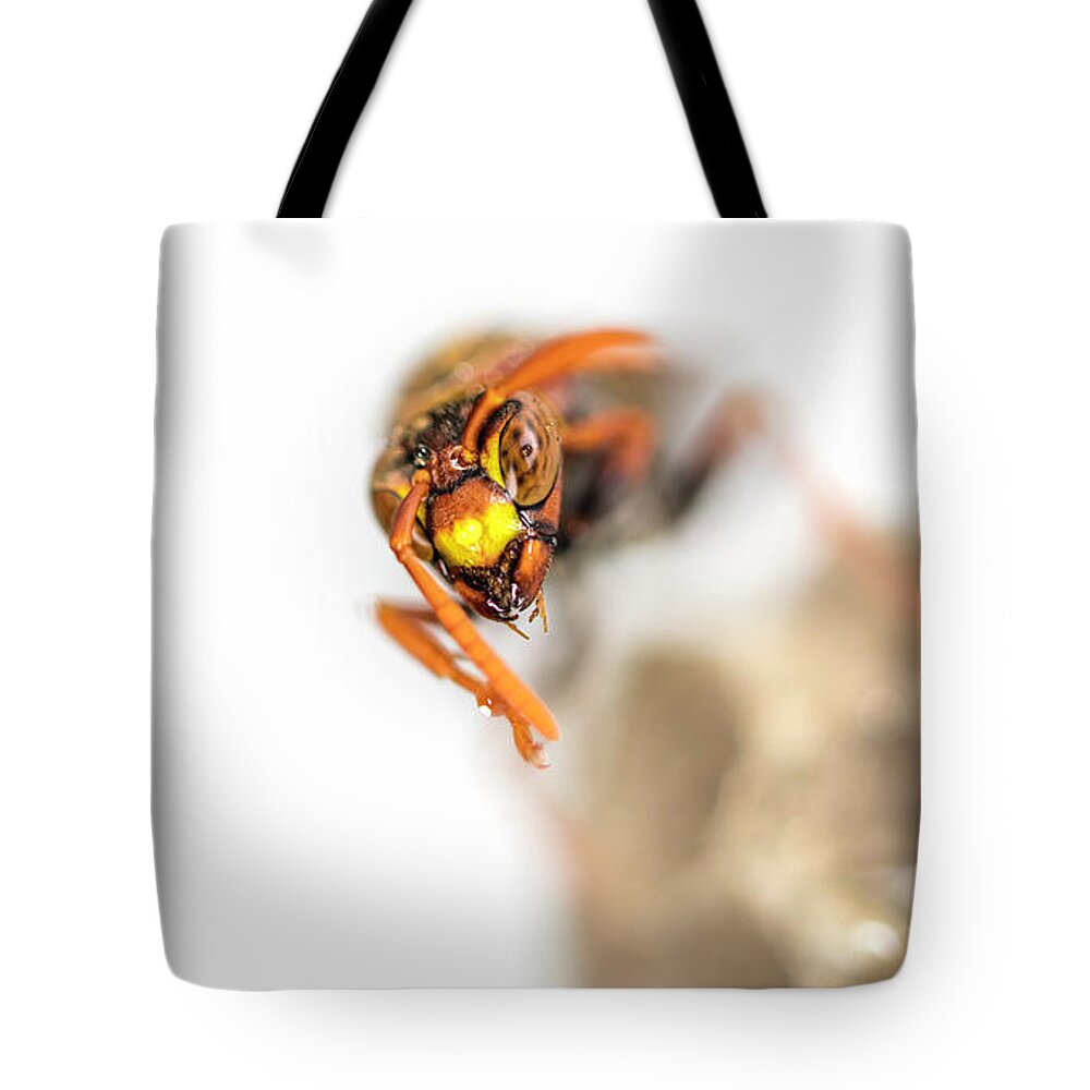 Macro Tote Bag featuring the photograph Out Of The White by Chris Cousins