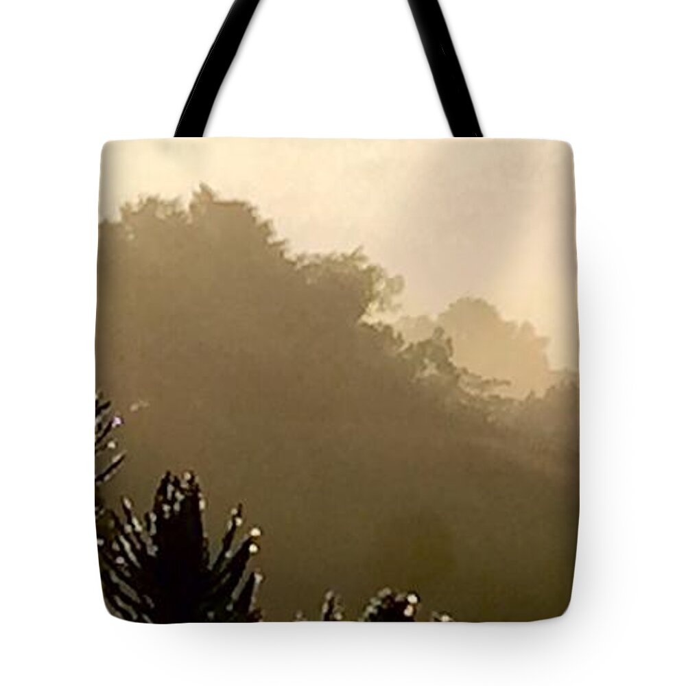 Tennessee Tote Bag featuring the photograph Out The Front Door by Steven Lebron Langston