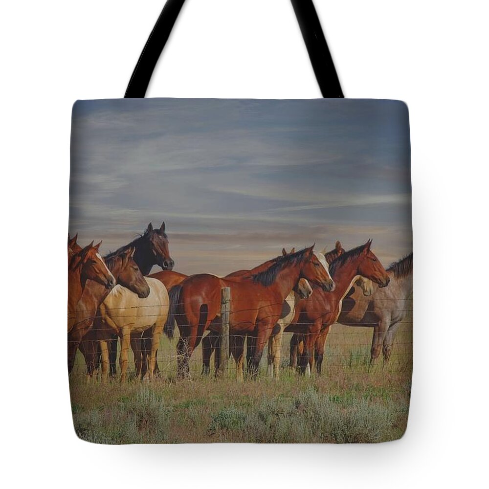Horses Tote Bag featuring the photograph Over The Fenceline by Amanda Smith